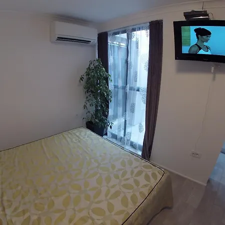 아파트 아파트먼트 코랄 스플리트